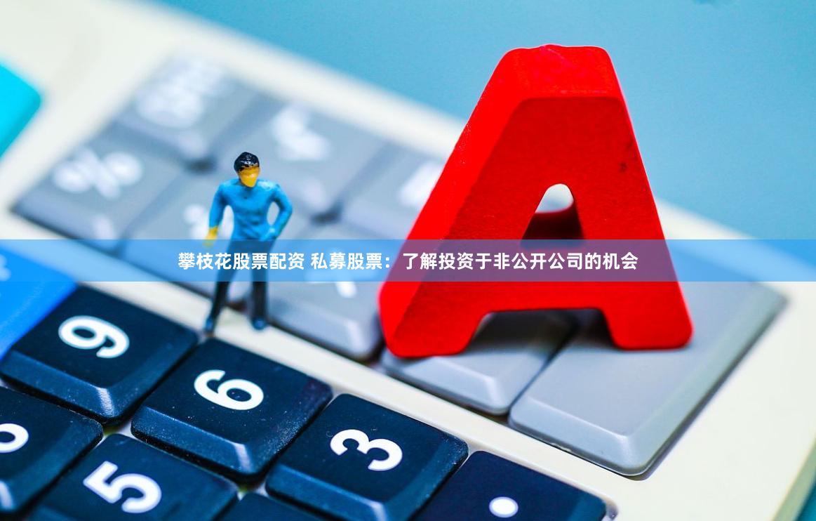 攀枝花股票配资 私募股票：了解投资于非公开公司的机会